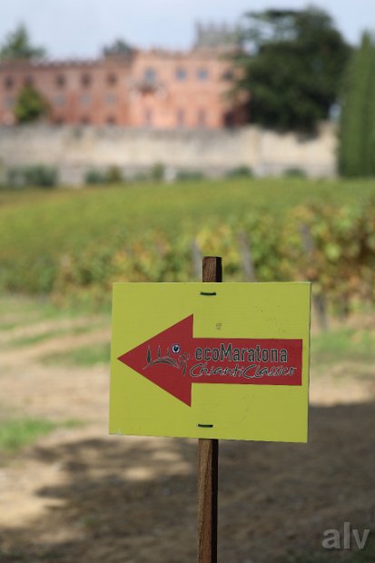 3-3_CastelBrolio (21)